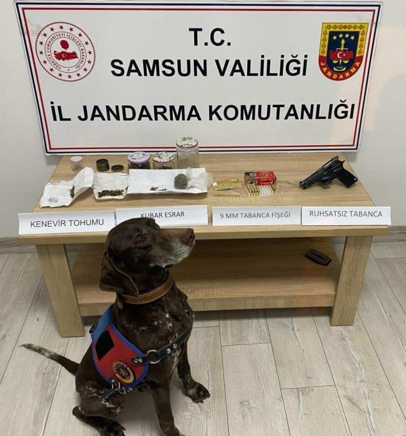 Samsun'da jandarma 736 aranan şahsı yakaladı