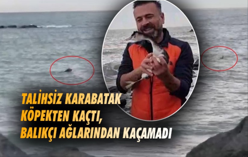 Samsun'da talihsiz karabatak köpekten kaçtı, balıkçı ağlarından kaçamadı