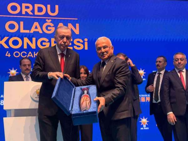 Cumhurbaşkanı Erdoğan: 'Ankara-Karadeniz ve Gürcistan arasında demiryolu ulaşımını planlıyoruz'