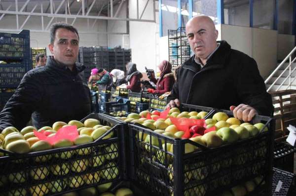Karaman'dan Libya'ya elma ihracatı arttı