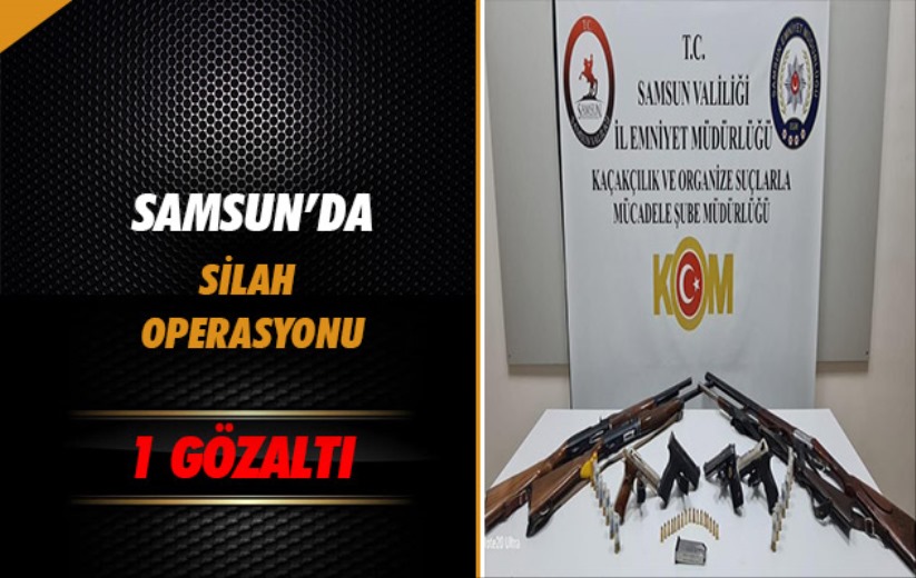 Samsun'da silah operasyonu