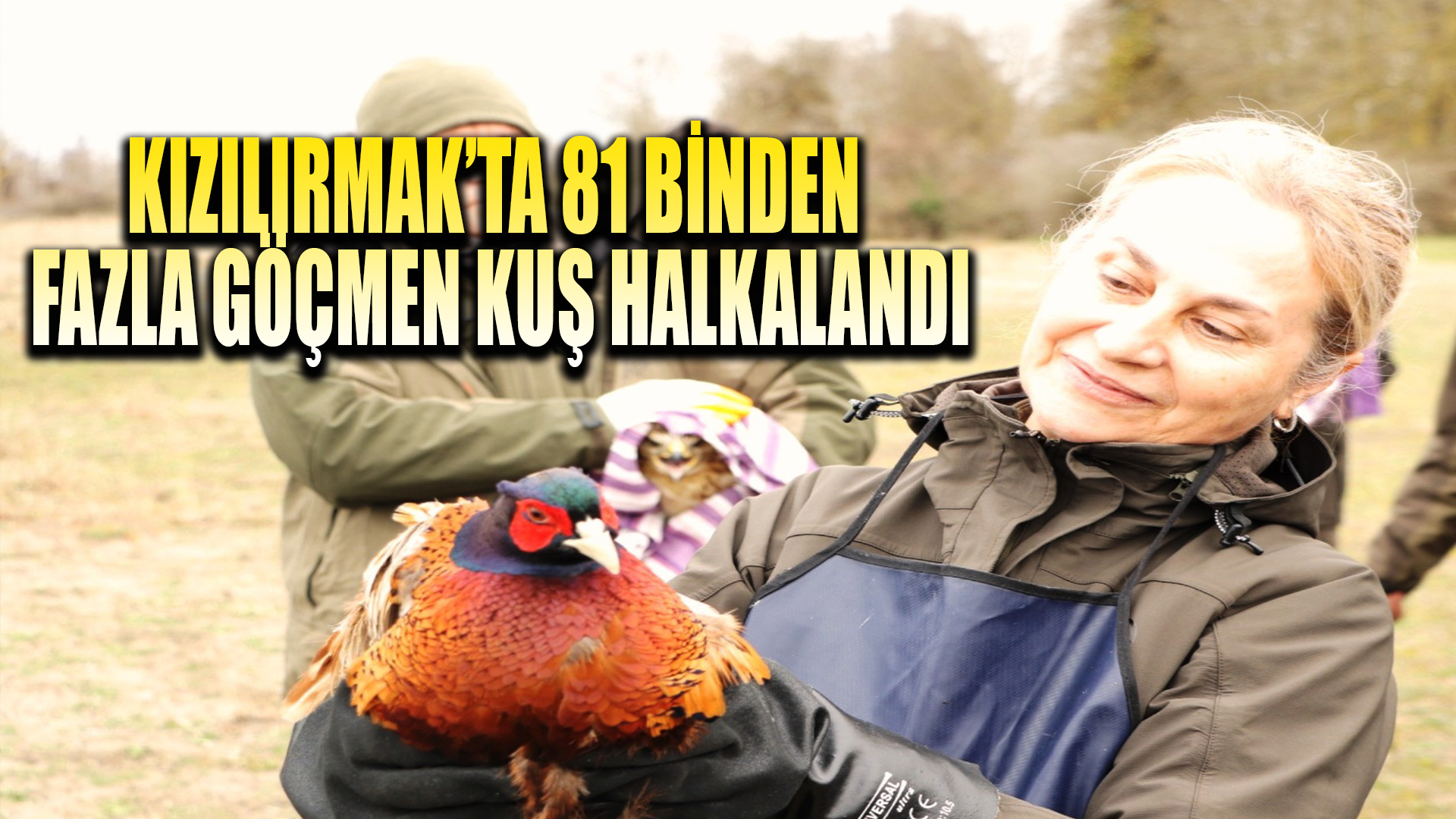 81 binden fazla göçmen kuş halkalandı