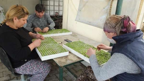 Balkesir'de sokaa çkma snrlamas üretime engel deil