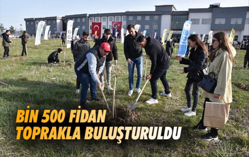 Samsun'da bin 500 fidan toprakla buluşturuldu