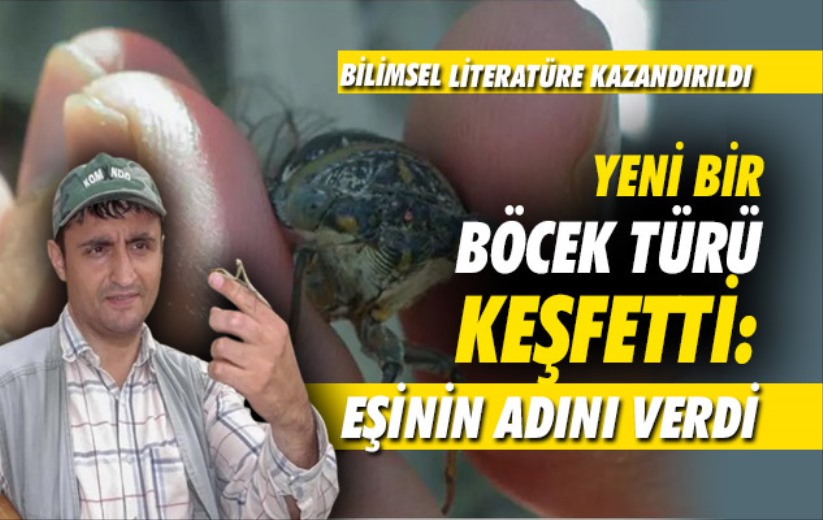 Yeni bir böcek türü keşfetti: Eşinin adını verdi