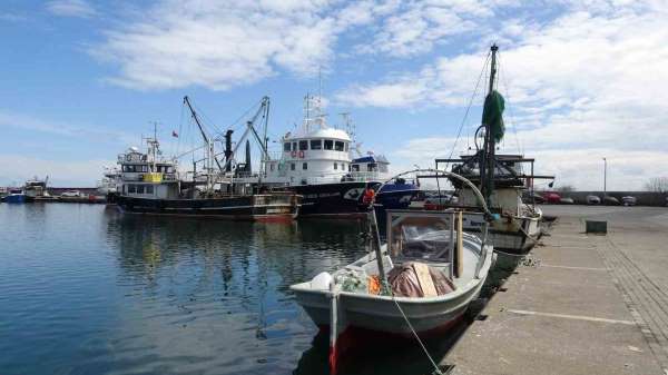 Balıkta bereketli sezon: 'Halk bu yıl balığa doydu'