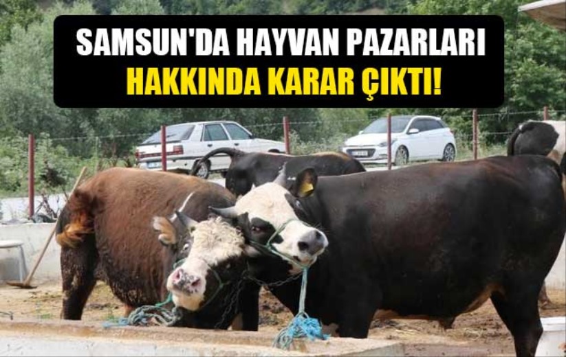 Samsun'da hayvan pazarları hakkında karar çıktı!
