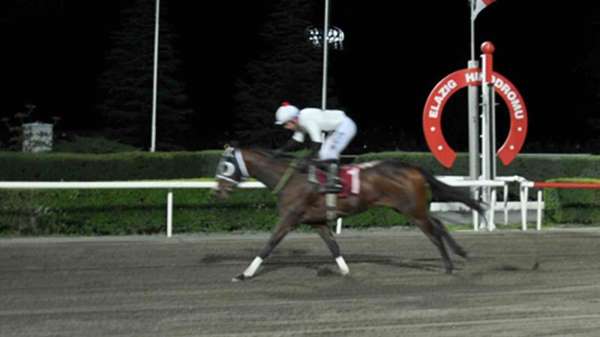 FÜ Veteriner Fakültesi Dekanlığı Koşusu'nu Can Kısas kazandı