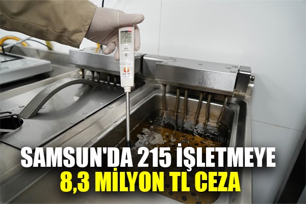 Samsun'da 215 işletmeye 8,3 milyon TL ceza