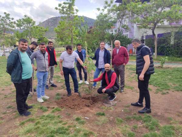 Soma'da yaşayan Ordulular hayatını kaybeden madenciler anısına fidan dikti