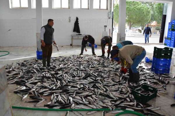 Nisan ayında Muğla'dan ülke ekonomisine 95,2 milyon dolarlık ihracat katkısı