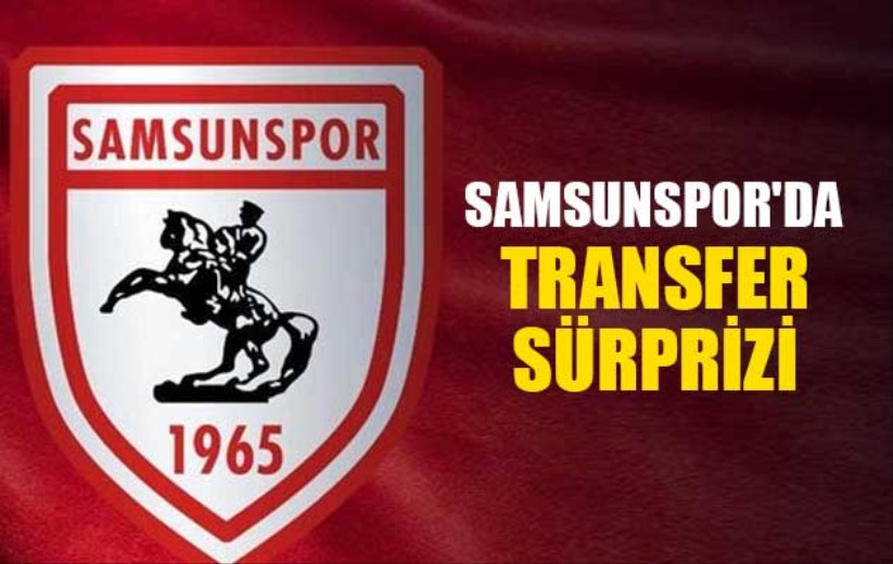 Samsunspor, Arvydas Novikovas'ı transfer etti