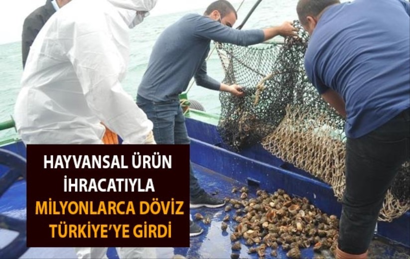 Hayvansal ürün ihracatıyla milyonlarca döviz Türkiye'ye girdi