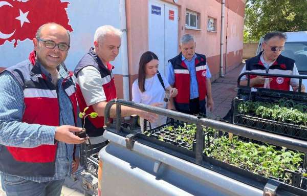 Altıntaş'ta ilkokul öğrencilerine sebze fidesi dağıtıldı