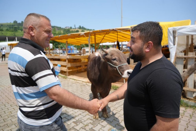 Samsun'da kurban pazarında yüzler gülüyor: Hayvanlar elde kalmadı