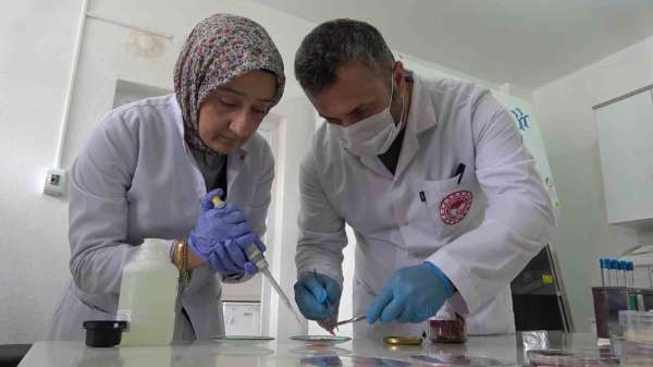 Gıda uzmanından uyarı: 'Kurban etini hemen buzdolabına koymayın'