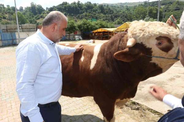Sandıkçı: 'Canik Hayvan Pazarı Karadeniz'de örnek bir pazar'