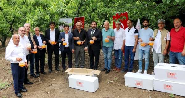 Yalova'da Akdeniz meyve sineği ile biyoteknik mücadele