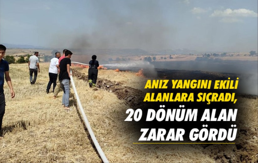 Samsun'da anız yangını ekili alanlara sıçradı, 20 dönüm alan zarar gördü