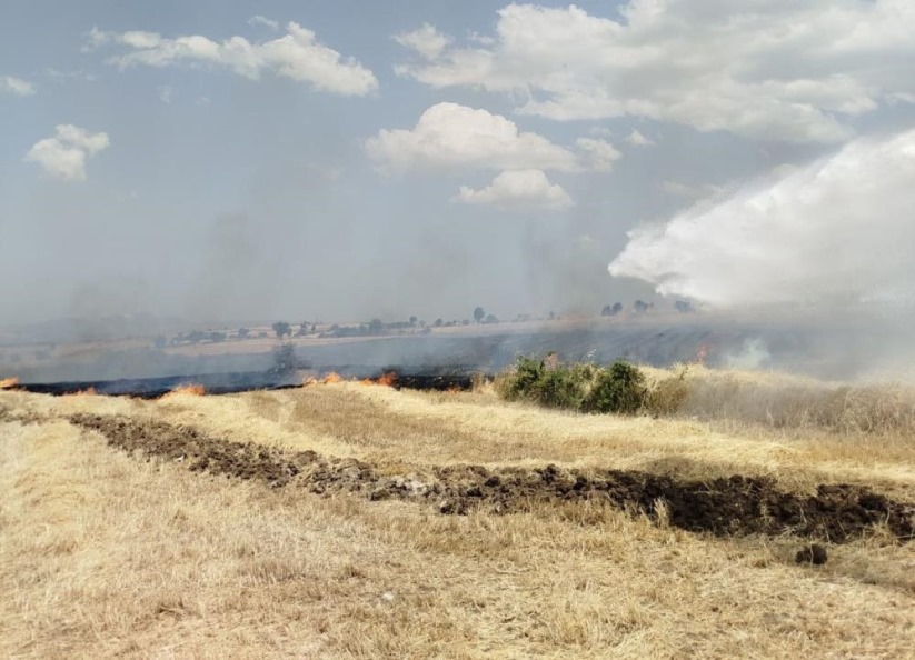 Samsun'da anız yangını ekili alanlara sıçradı, 20 dönüm alan zarar gördü