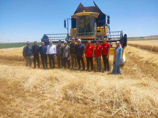 Karapınar'da hububat hasadı devam ediyor