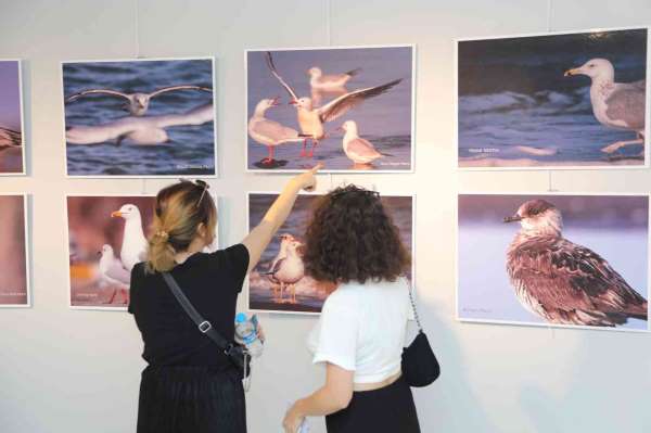 Atakum Belediyesi'nden nesli tükenen kuşlar için fotoğraf sergisi - Samsun haber