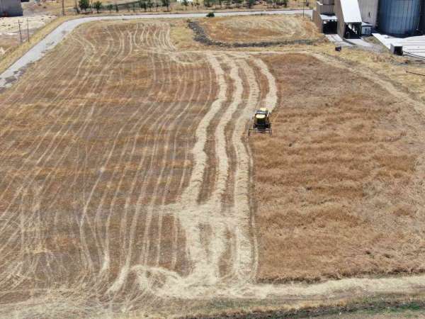 Diyarbakır'da devlet desteğiyle tarımsal üretimde artış devam ediyor - Diyarbakır haber