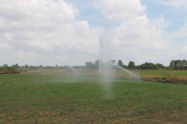 Edirne'de tarımsal sulama projesine 30 milyon liralık bütçe ayrıldı