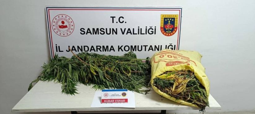 Samsun'da Jandarmaya 12 kilo esrarla yakalanan kadın tutuklandı