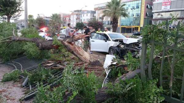 Ortalığın savaş alanına döndüğü kazada kimsenin burnu bile kanamadı