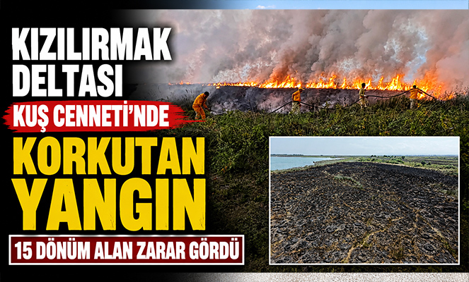 Kızılırmak Deltası Kuş Cenneti'nde korkutan yangın: 15 dönüm alan zarar gördü