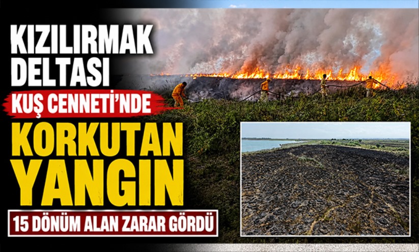 Kızılırmak Deltası Kuş Cenneti'nde korkutan yangın: 15 dönüm alan zarar gördü