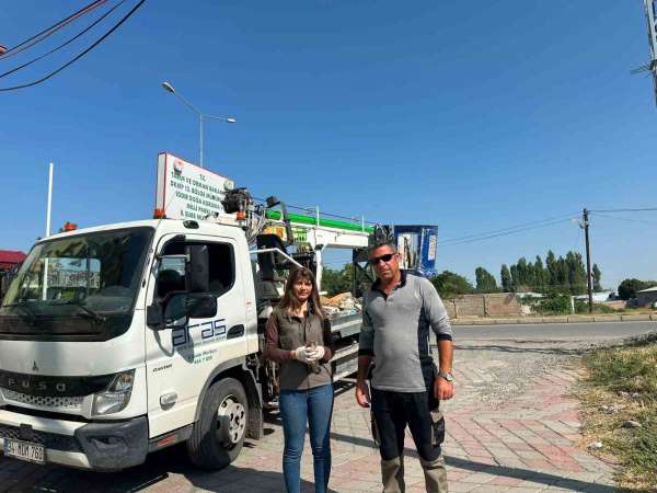 Iğdır'da doğada halsiz bulunan kerkenez koruma altına alındı