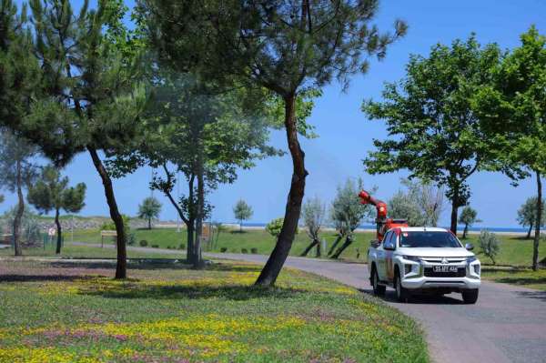 Samsun'da sivrisinek ve haşerelere karşı mücadele