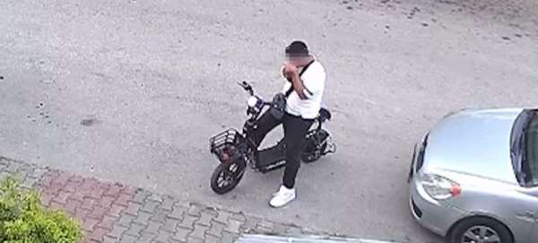 Yavru kediyi önce öpüp sonra boğmuştu, gözaltına alındı