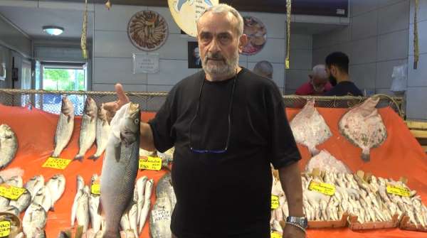 Sezon açıldı, tezgahlarda hamsi ve istavrit bolluğu