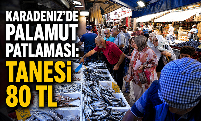 Karadeniz'de palamut patlaması: Tanesi 80 TL