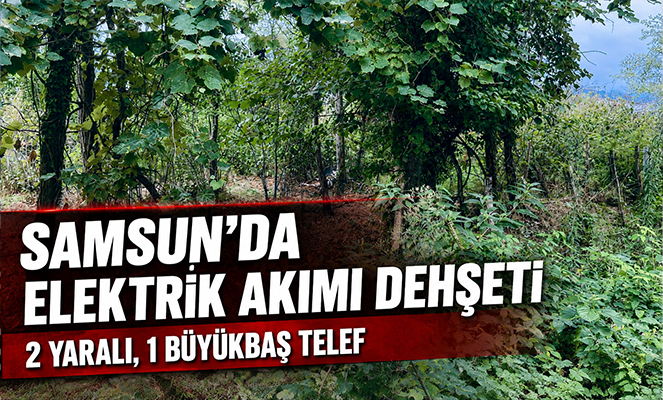 Samsun'da elektrik akımına kapılan 2 kişi yaralandı, 1 büyükbaş hayvan telef oldu