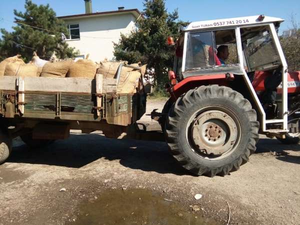 Fındıkta randıman tepkisi