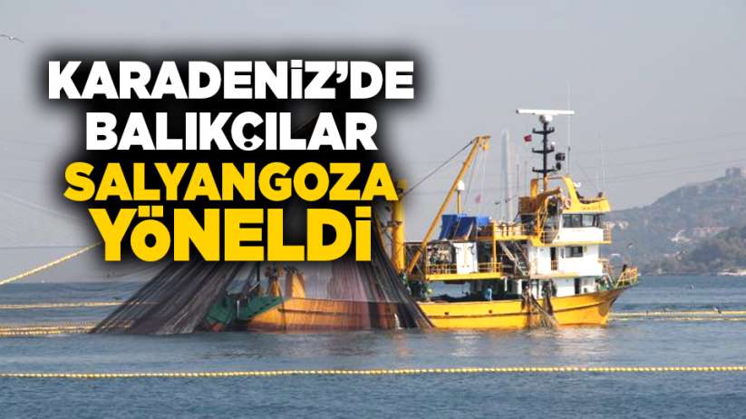 Karadeniz'de balık az oluca, balıkçılar salyangoz avlıyor!