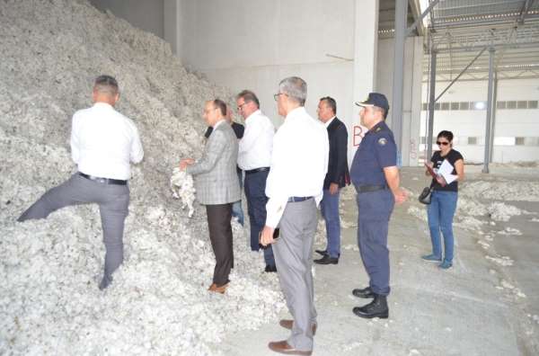 Söke'de pamuğa kalite denetimi