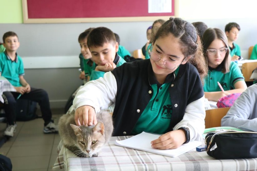 Öğrencilerin sıra arkadaşı 'Duman' isimli kedi