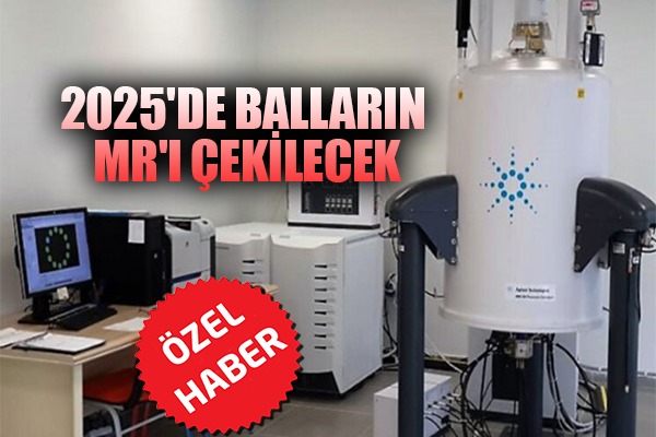 2025'DE BALLARIN MR'I ÇEKİLECEK