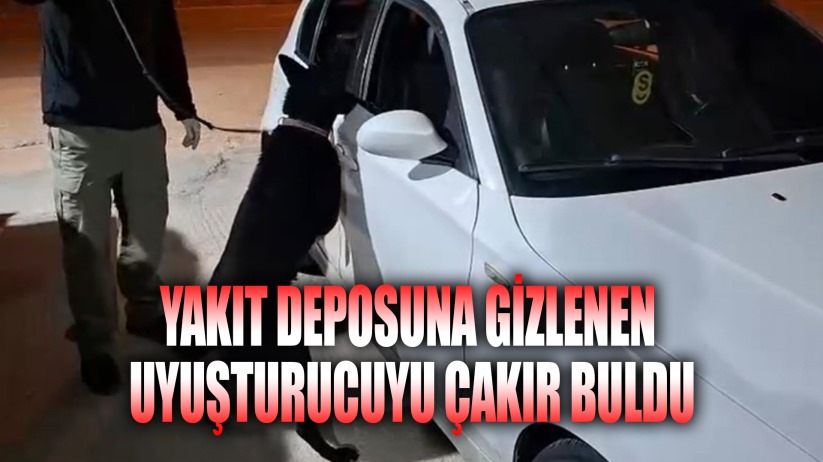 Samsun'da narkotik köpeği Çakır, yakıt deposuna gizlenen metamfetamini buldu