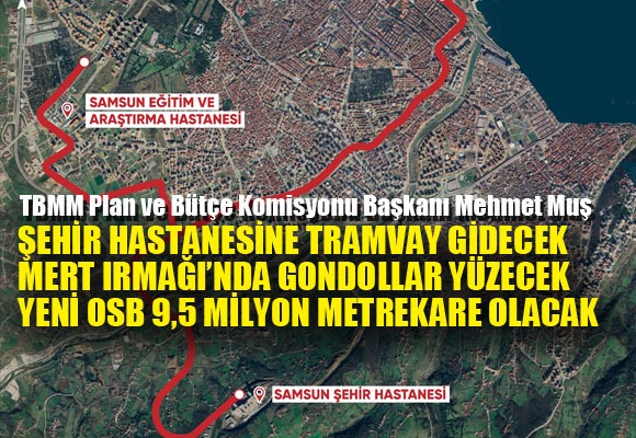 AK Parti Samsun Milletvekili Muş peşpeşe sıraladı