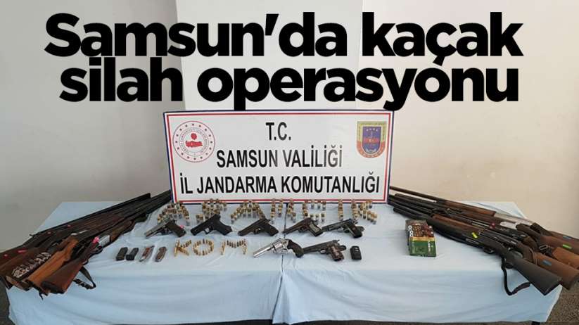 Samsun'da jandarmadan kaçak silah operasyonu 