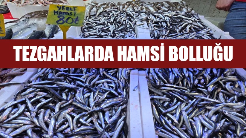 Tezgahlarda hamsi bolluğu