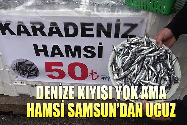 Denize kıyısı olmayan şehirde hamsinin kilosu 50 TL'ye düştü, vatandaş poşet poşet aldı