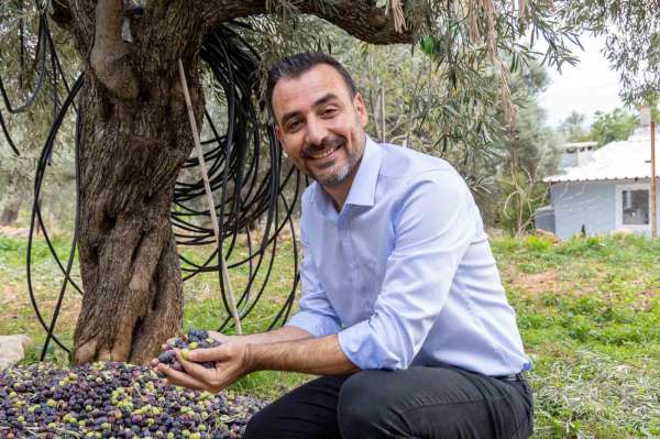 Manavgat'ta Zeytin ve Zeytinyağı Festivali'nin ikincisi başlıyor