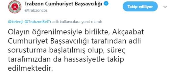 Trabzon'daki hayvan katliamına adli soruşturma başlatıldı